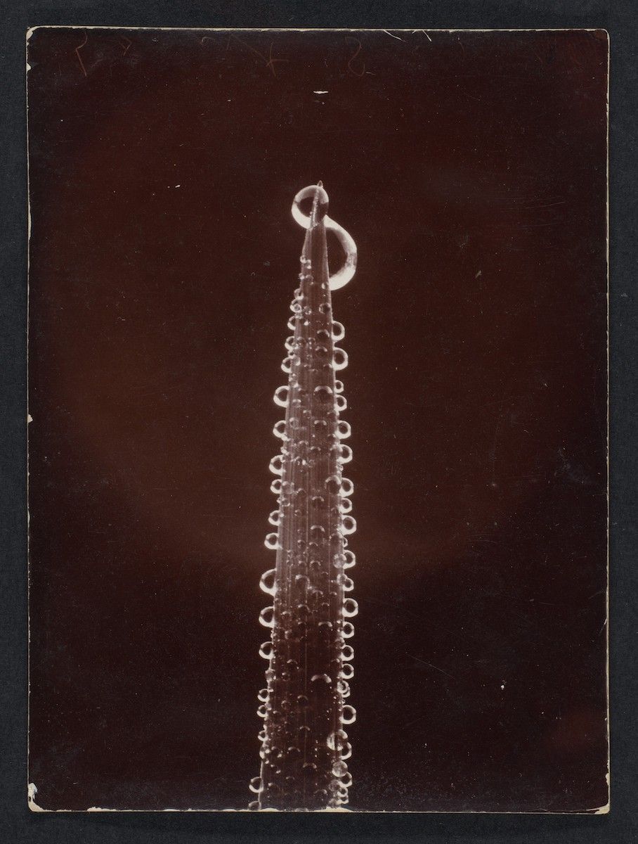 A vertical stream of water falling against a dark background, captured in a minimalist and abstract composition.