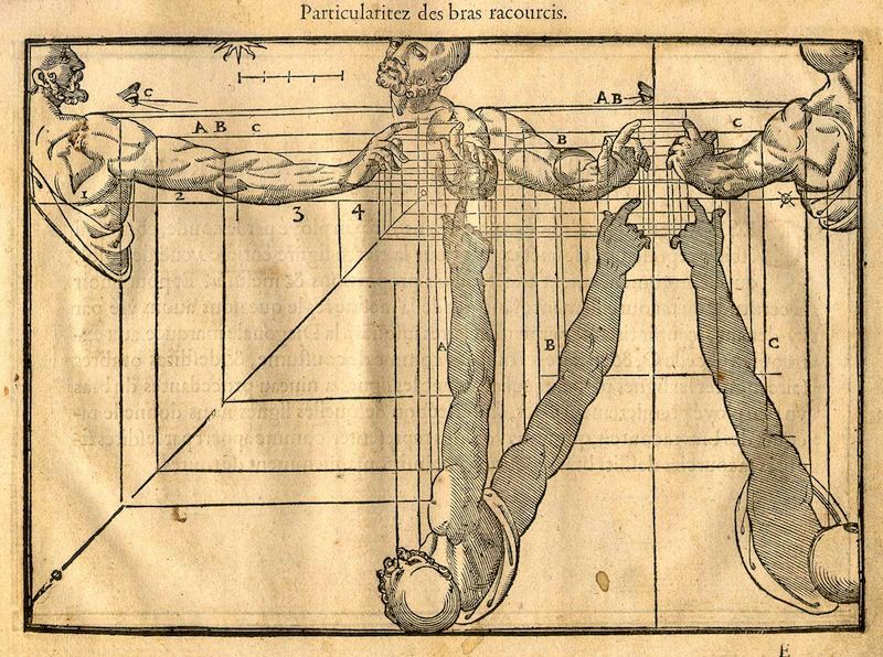 Antique anatomical illustration of arms and legs with grid and labels.
