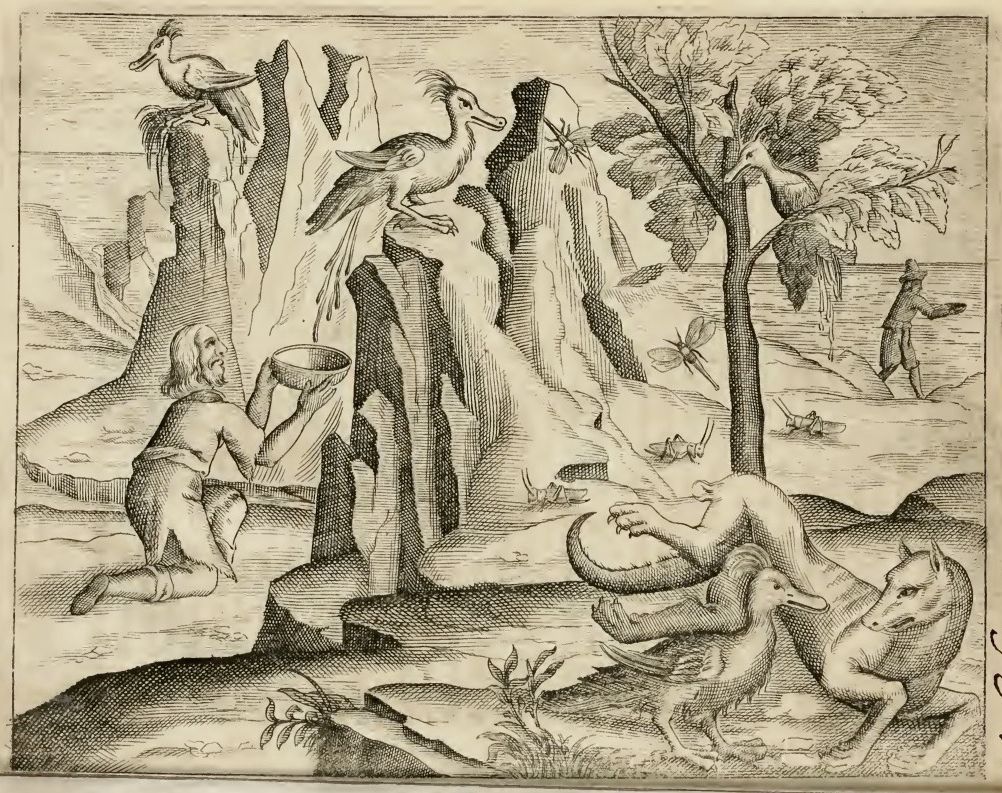 Black and white engraving of a person collecting from birds while a boar runs in the foreground.