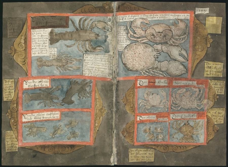 A detailed image of a page spread from a medieval manuscript, featuring illustrations of various creatures and handwritten text in a grid layout.
