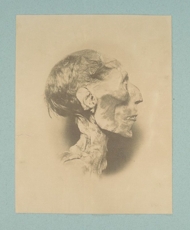 Sepia-toned photograph of a mummy's head in profile, mounted on cream-colored paper with a light blue border.