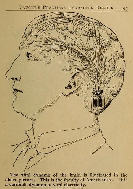 Vintage illustration of a man's head with a dynamo attached, representing the 'vital dynamo of the brain'.