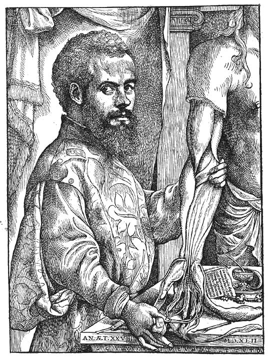 A black and white woodcut or engraving depicting a man dissecting an arm.