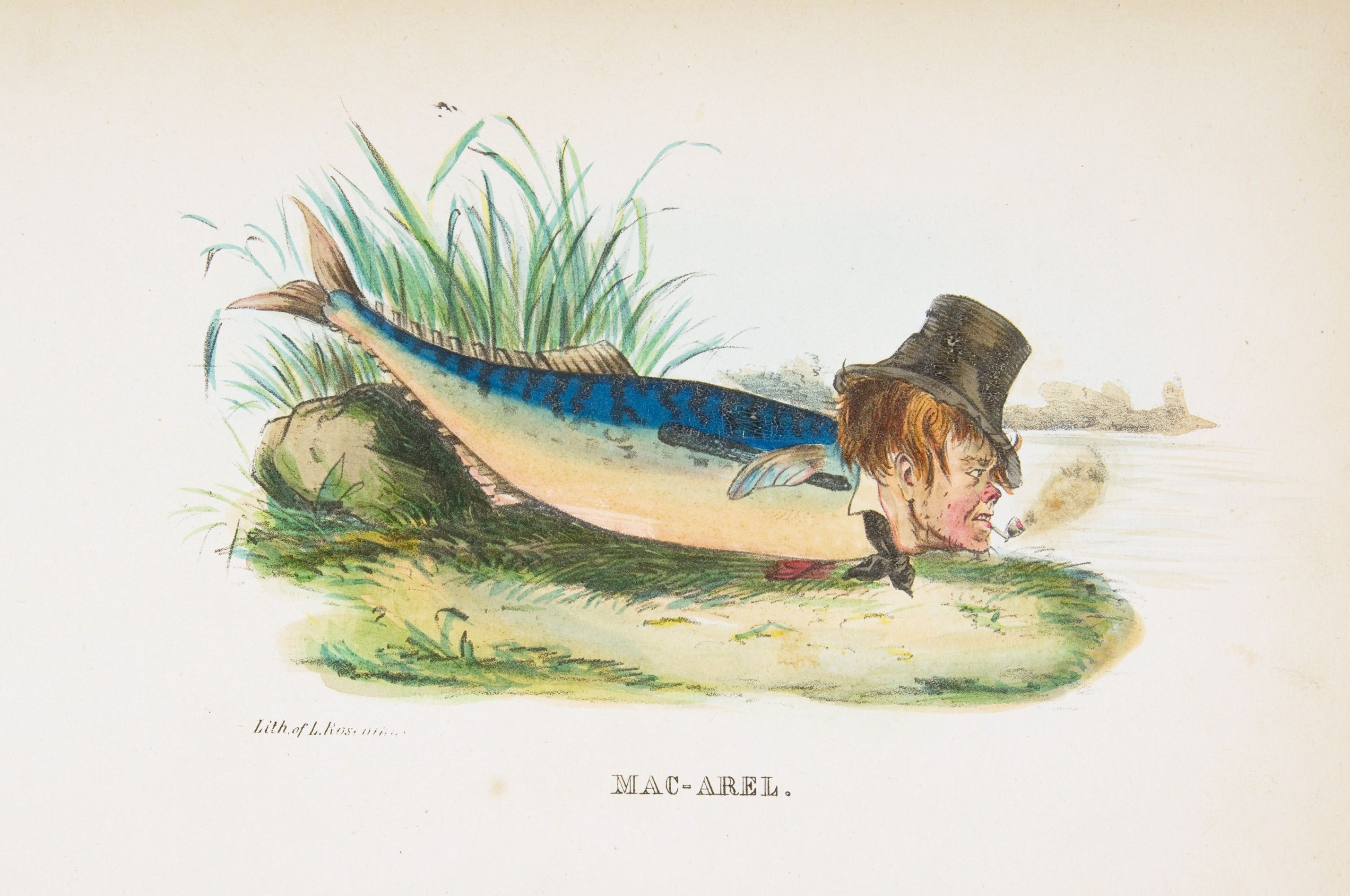 A whimsical watercolor illustration of a mackerel fish with the head of a man emerging from its body, wearing a top hat and smoking a pipe.