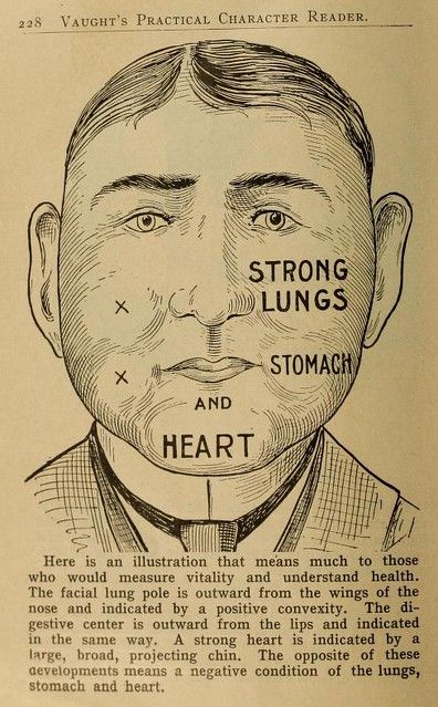 Vintage illustration of a man's face with labels indicating areas related to health, such as lungs, stomach, and heart.
