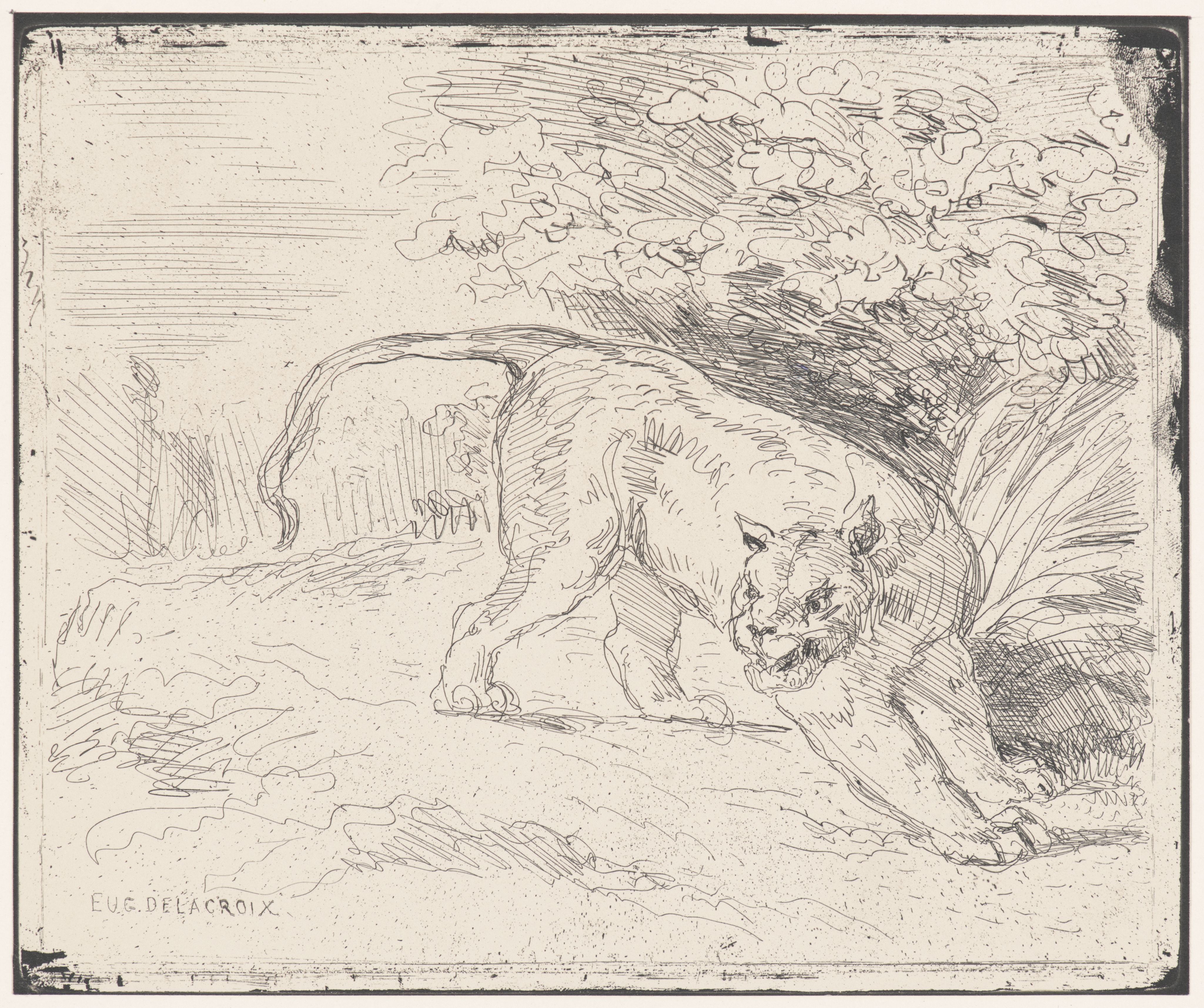 A black and white lithograph of a lion stalking through grass under a tree, signed 'Eug. Delacroix'.