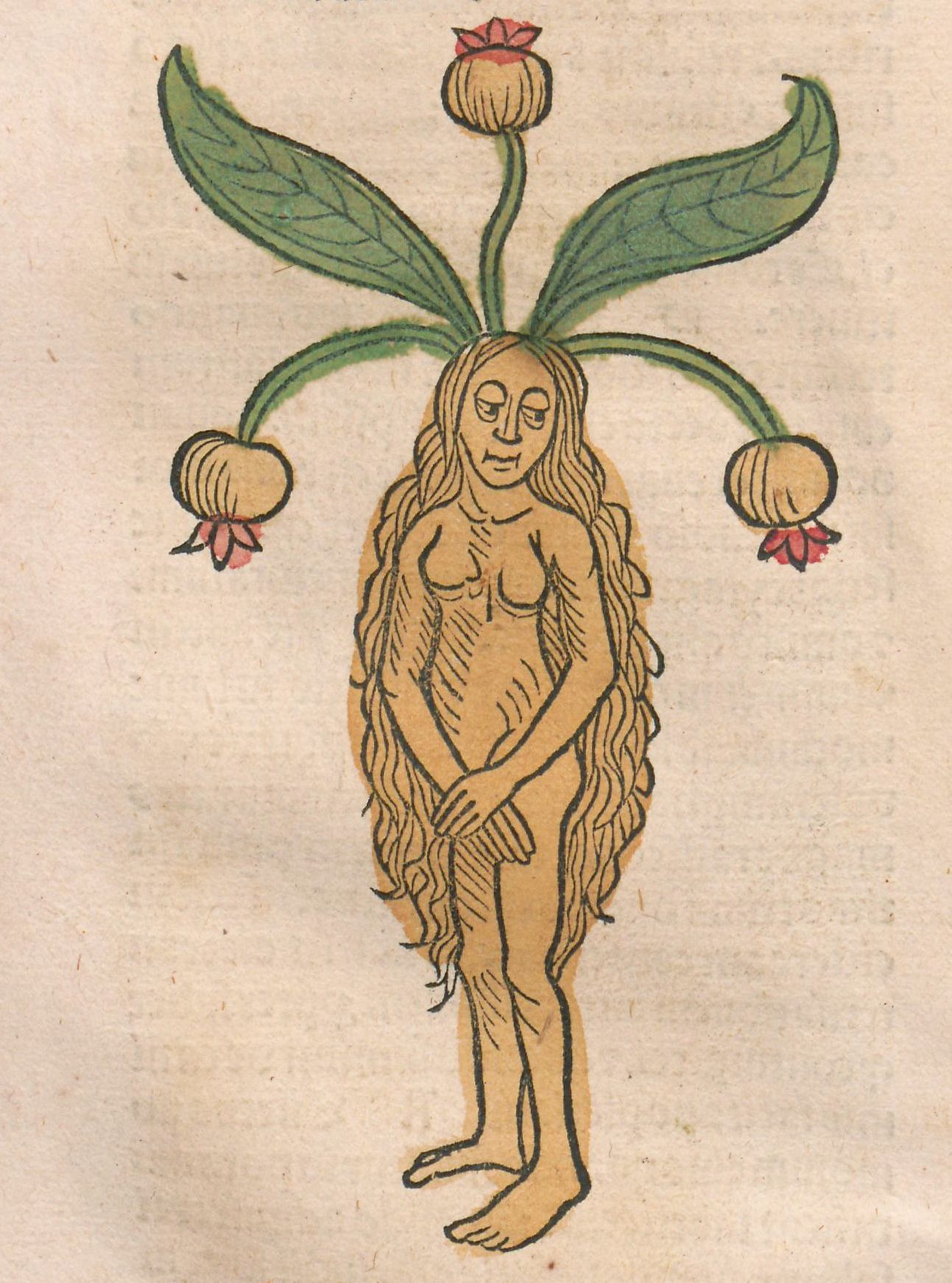 Vintage illustration of a nude female figure with plant-like features, including leaves and flowers growing from her head.