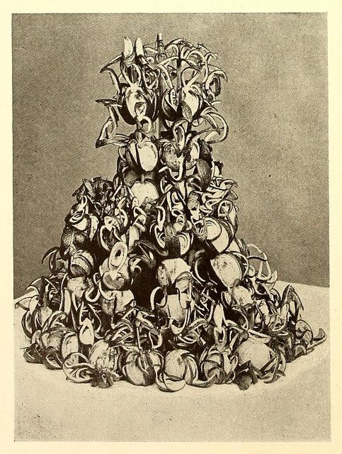 A large pile of shells arranged in a conical shape.