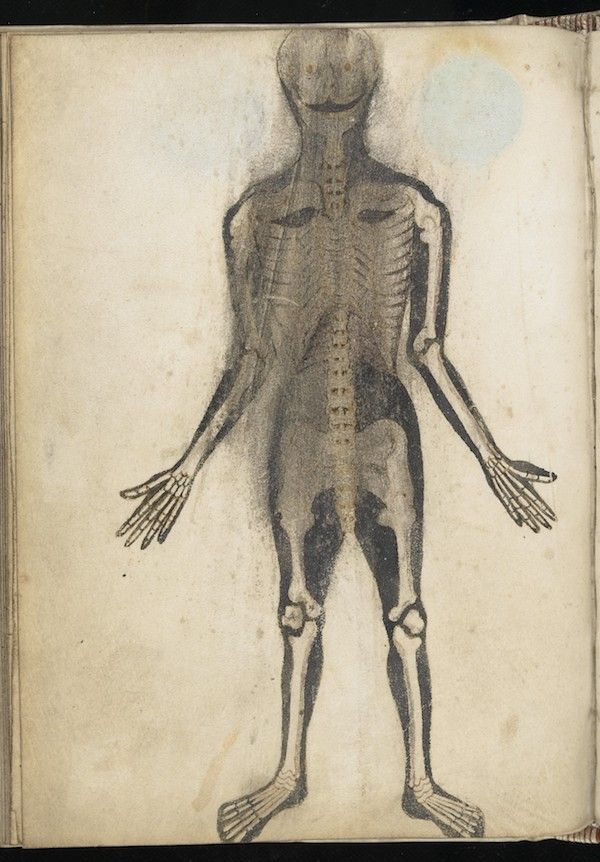Vintage sepia-toned drawing of a human figure with skeletal and muscular details.