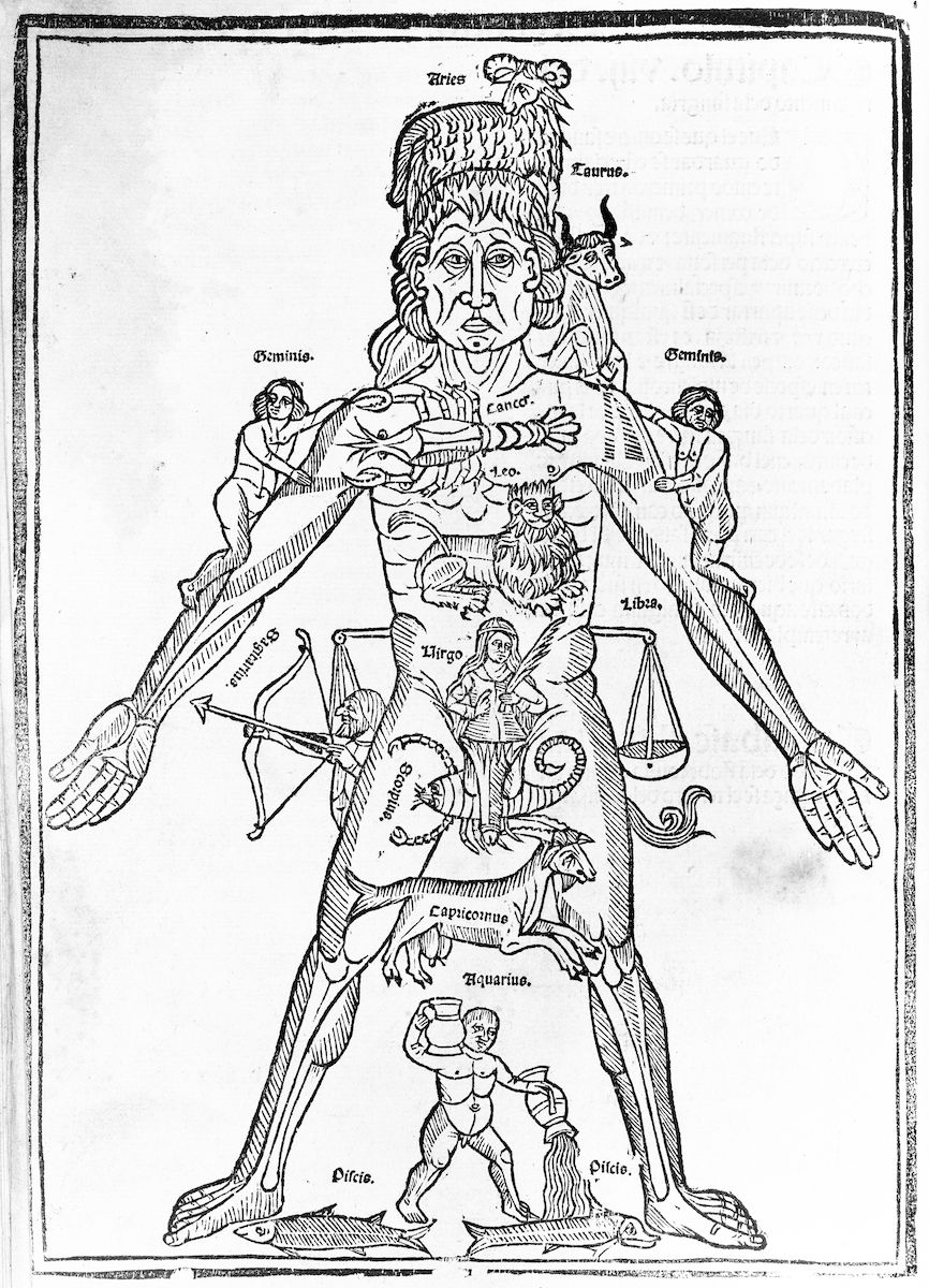 A detailed black and white engraving of a “Zodiac Man,” a historical illustration used in astrology and medicine. The image shows a nude male figure with the signs of the zodiac mapped onto different parts of his body.