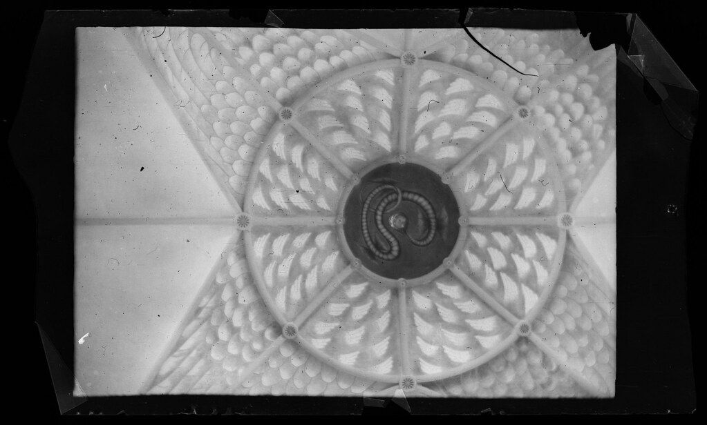 A black and white photograph of a circular ceiling ornament with a floral or leaf-like pattern radiating from a dark center.