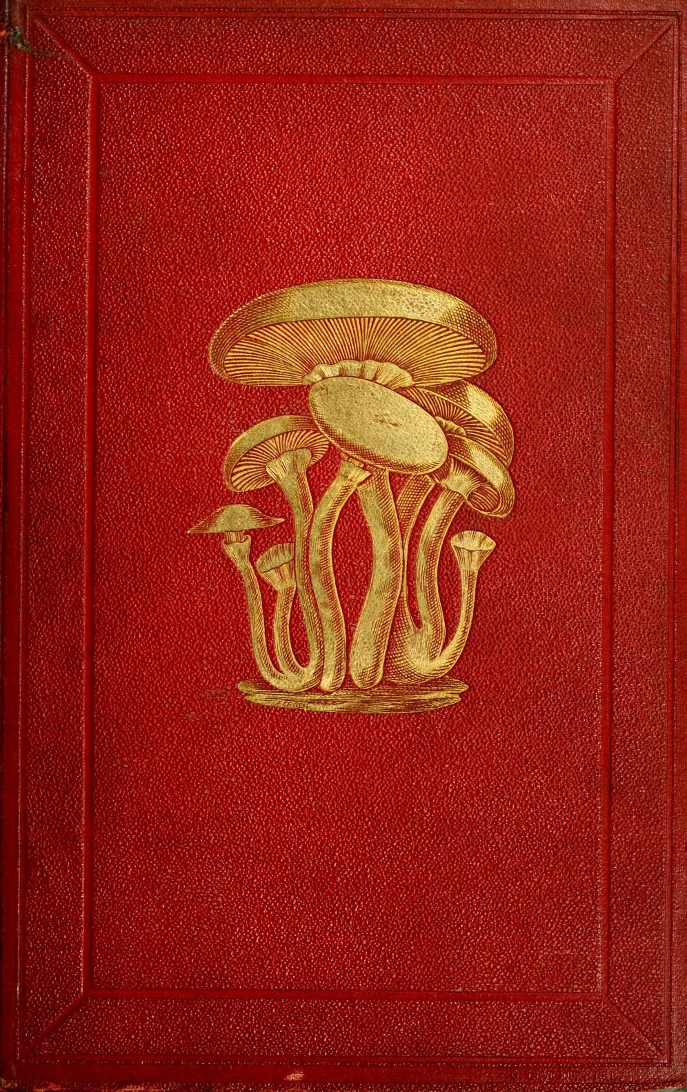 A vintage book cover with a cluster of gold foil mushrooms embossed on a red leather background.