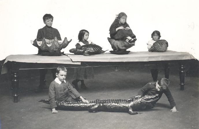 A vintage black and white photograph featuring a group of children interacting with a large alligator on a table.