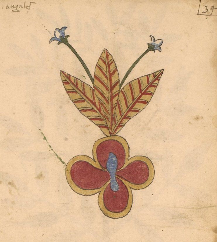 Vintage illustration of a reddish-brown flower with blue accents and three leaves.