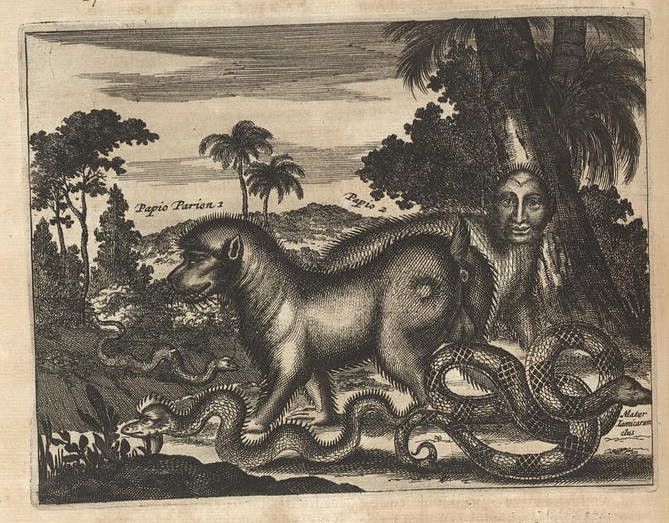 A black and white engraving of a fantastical creature resembling a bear with a lion's mane, standing on a coiled snake in a tropical landscape.