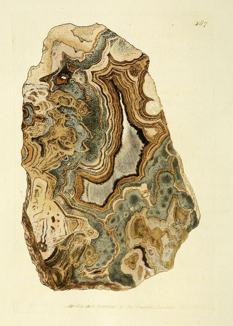 Watercolor painting of a polished agate stone with concentric bands of brown, gray, and white.