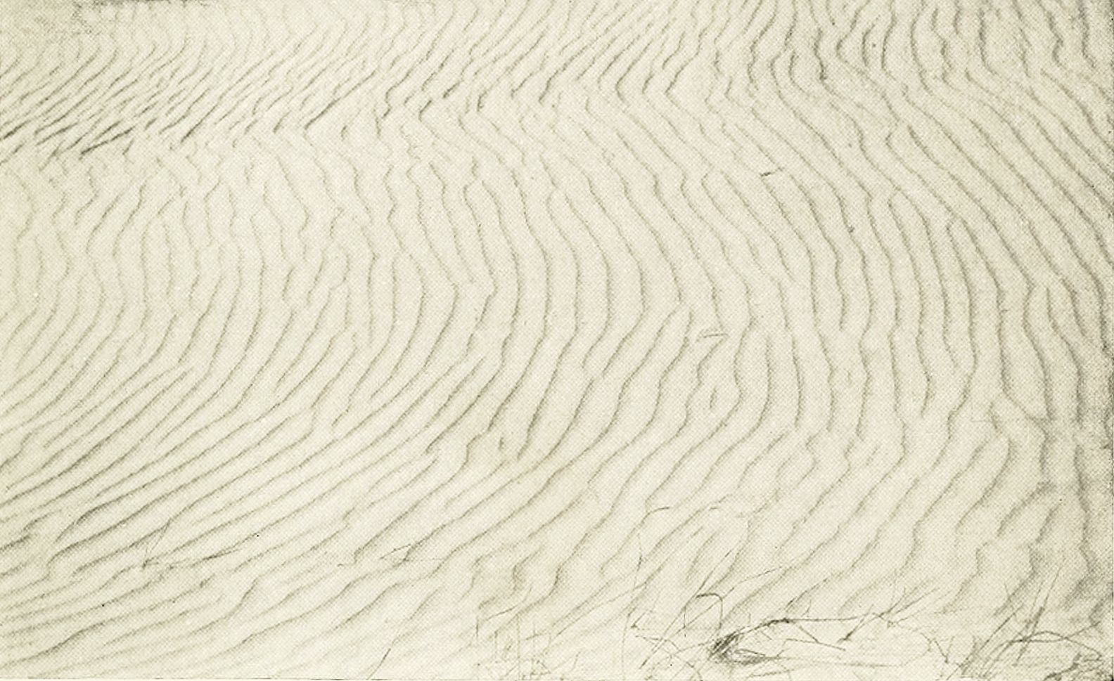 Close-up of sand with a pattern of ripples or waves.