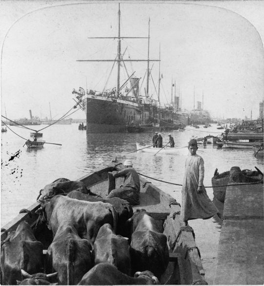 A black and white photograph of a bustling port scene with a large steamship, sacks of goods, and people working on the dock.