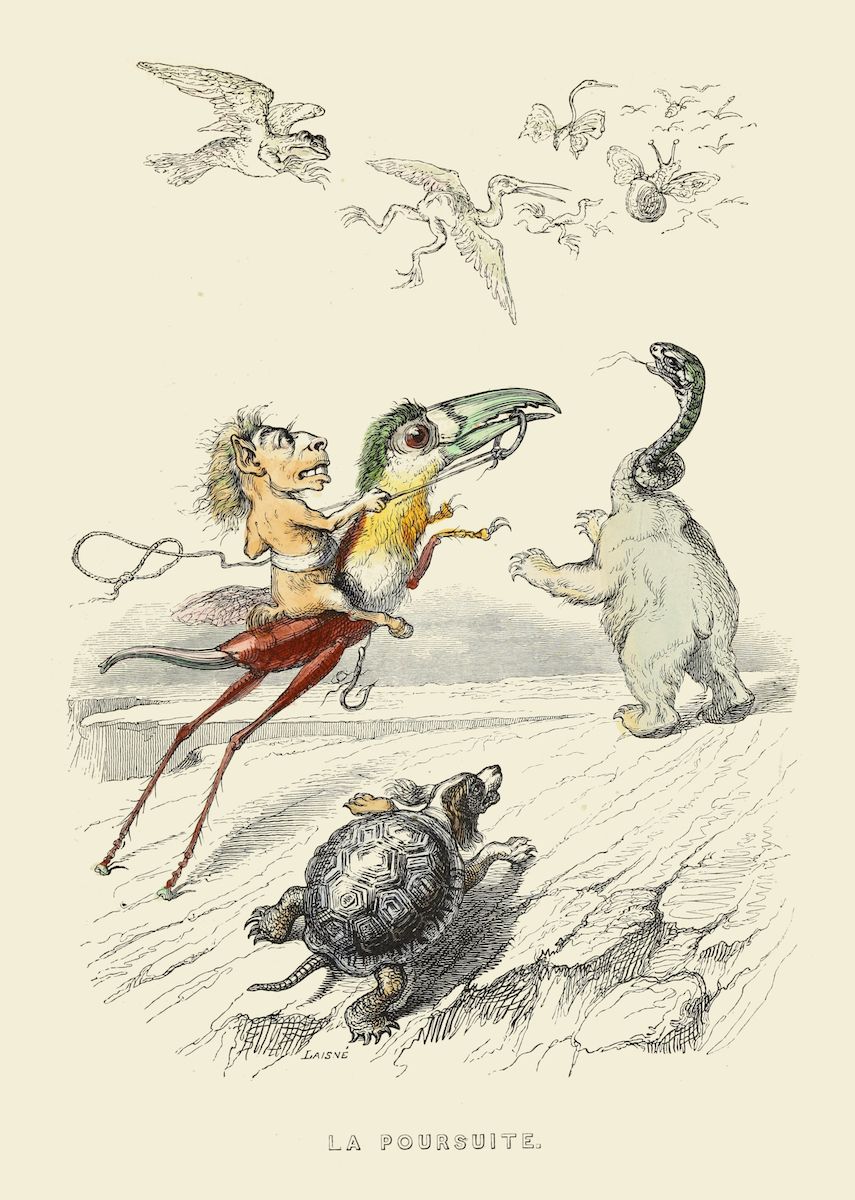 Vintage illustration of a chaotic chase scene with a human-headed horse ridden by a bird, pursued by griffins, and chased by an elephant and turtle.