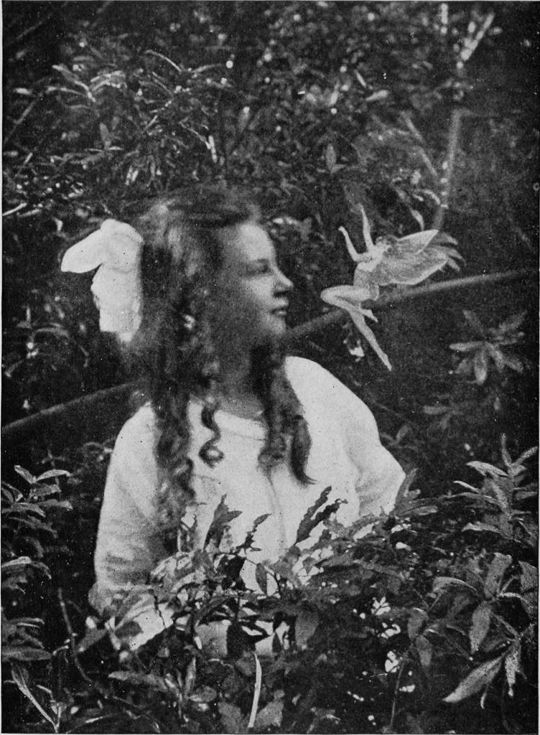 A vintage black and white photograph of a young girl surrounded by foliage, with a small winged figure hovering near her head.