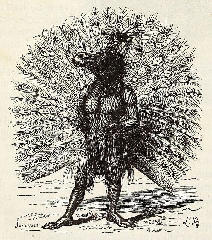 Vintage illustration of a goat-peacock hybrid creature with elaborate tail feathers and goat legs.