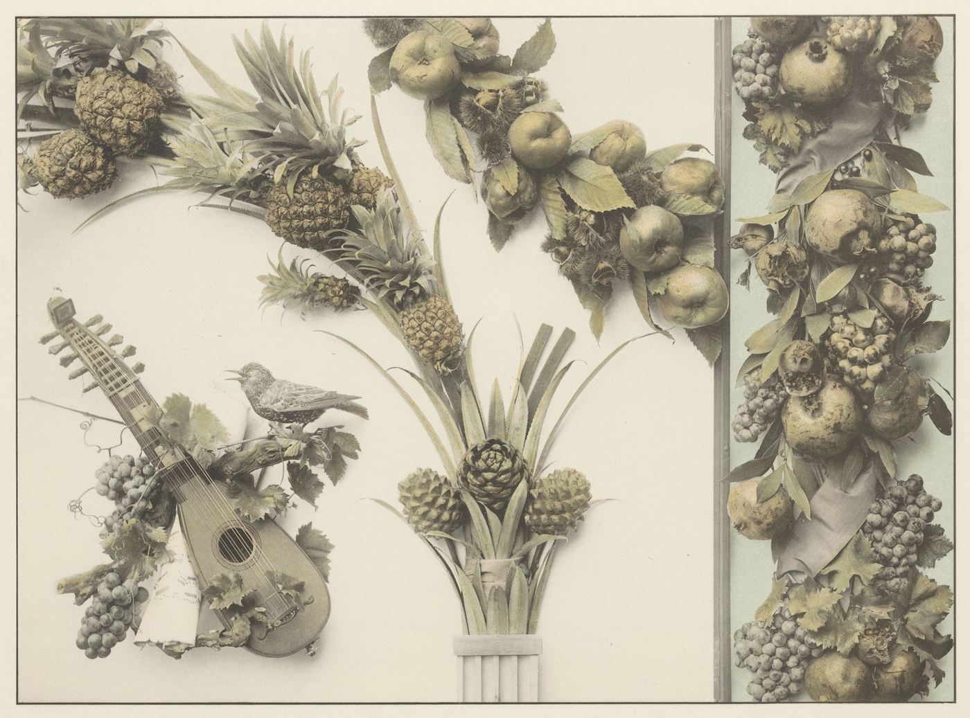 Sepia-toned photograph of a still life arrangement featuring artichokes, pineapples, pears, grapes, a mandolin, and a bird.