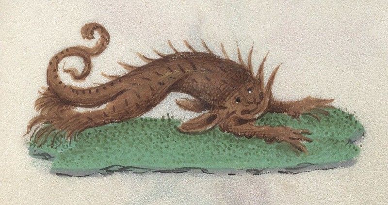 A fantastical brown salamander-like creature with a coiled tail rests on a patch of green algae in water.