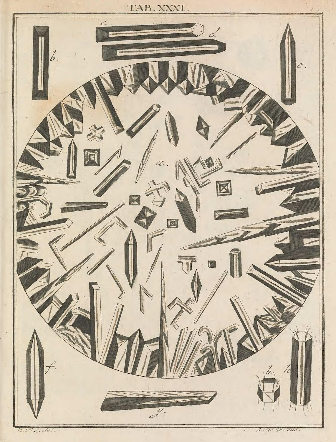 A black and white engraving of various crystalline shapes arranged in a circular pattern, labeled with letters and titled 'TAB. XXXI'.