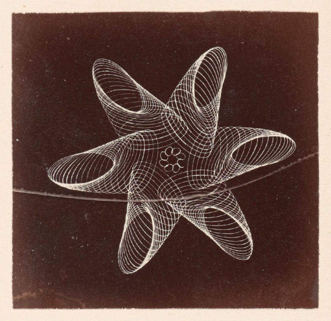 A black and white photograph of a complex geometric shape resembling a star, constructed from numerous thin, curved white lines against a dark background.