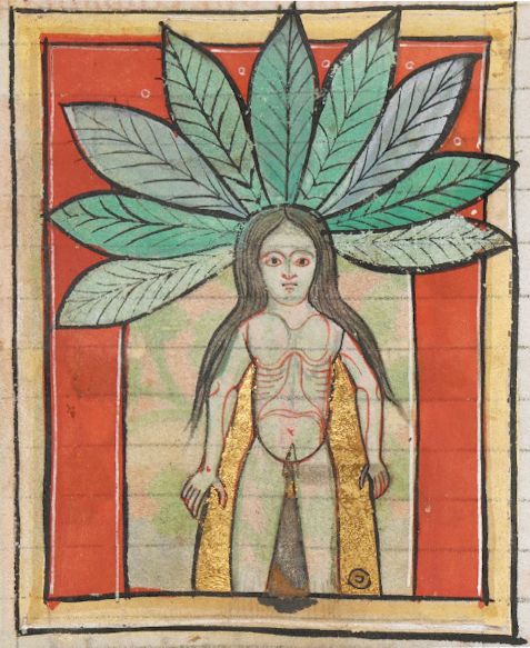 Medieval illustration of a nude man with a crown of leaves.