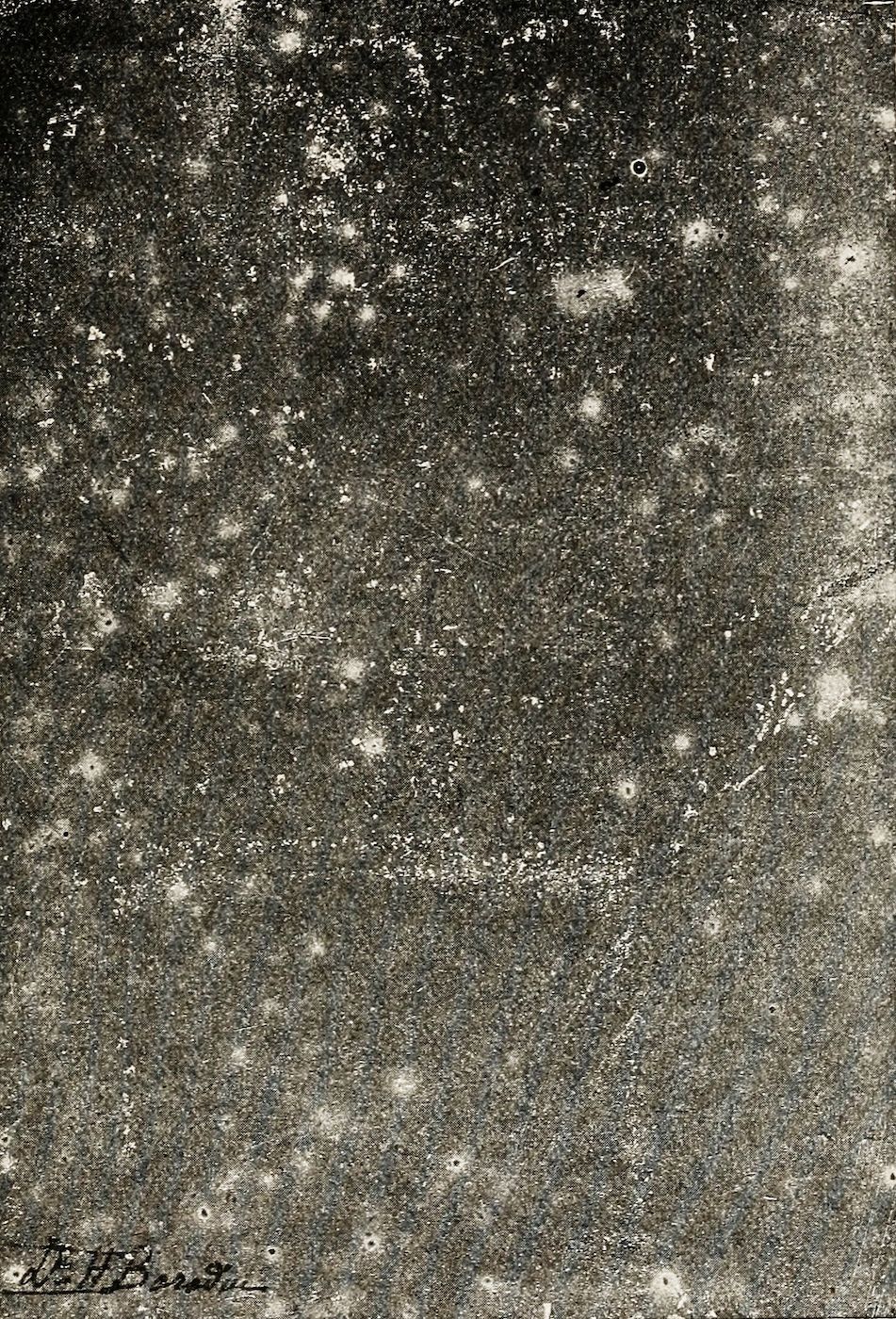 Vintage black and white photograph of a star field with numerous stars scattered across a dark background.