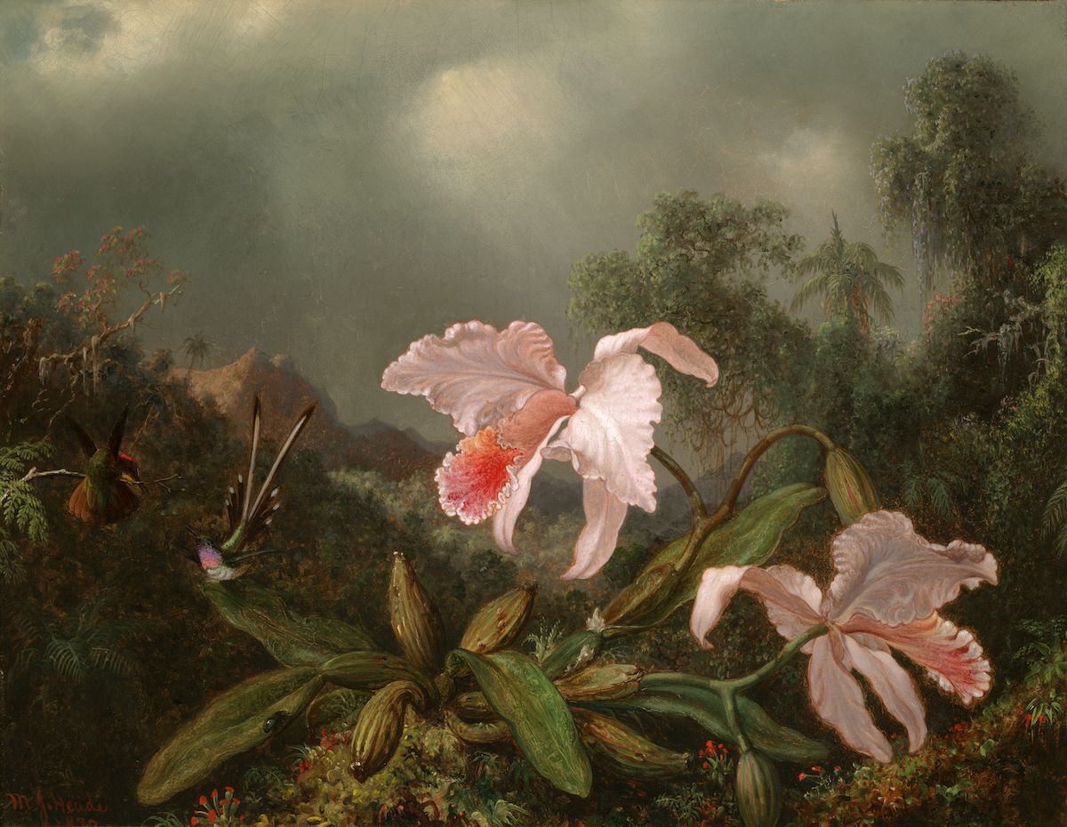 A painting of pink orchids and a hummingbird in a lush tropical forest.
