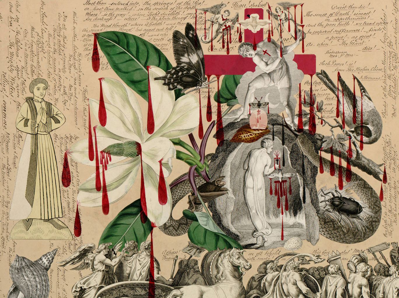 A vintage-style collage featuring a large green flower, butterflies, a snake, and a woman in a dark dress, all set against a backdrop of aged paper covered in handwritten text.