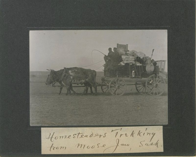 A black and white photograph of a horse-drawn wagon traveling across a vast, flat grassland, with a family and their belongings, labeled 'Homesteaders Trekking from Moose Jaw, Sask.'