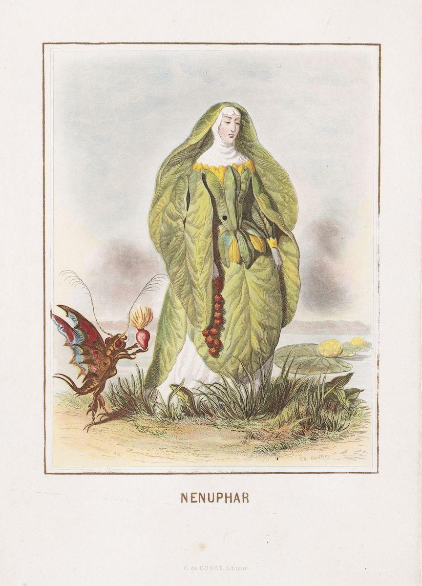 Vintage botanical illustration of a woman made of leaves, titled 'Nenuphar', with a butterfly offering her a flower.