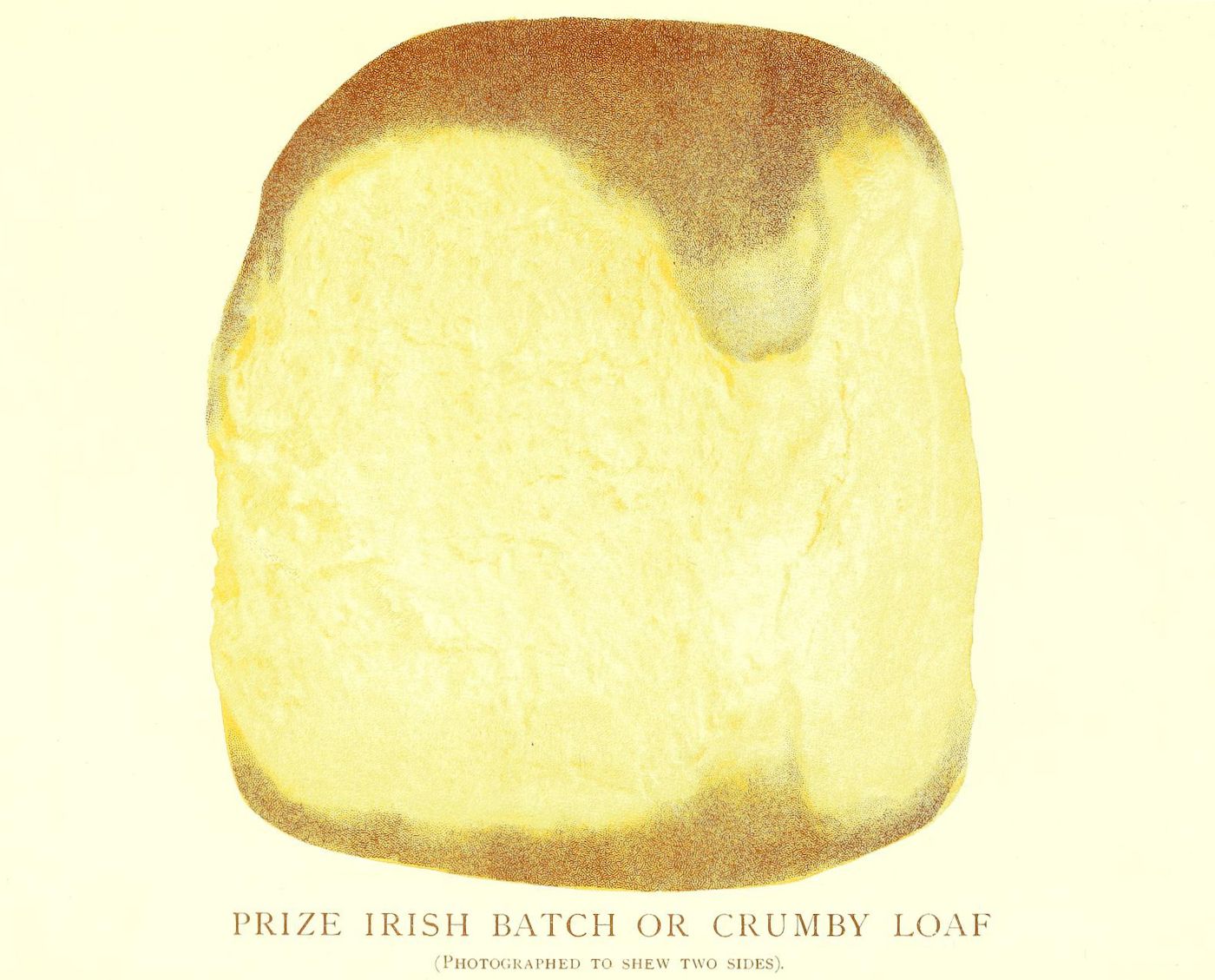 A vintage illustration of a slice of bread with a crumbly texture, labeled "PRIZE IRISH BATCH OR CRUMBY LOAF".