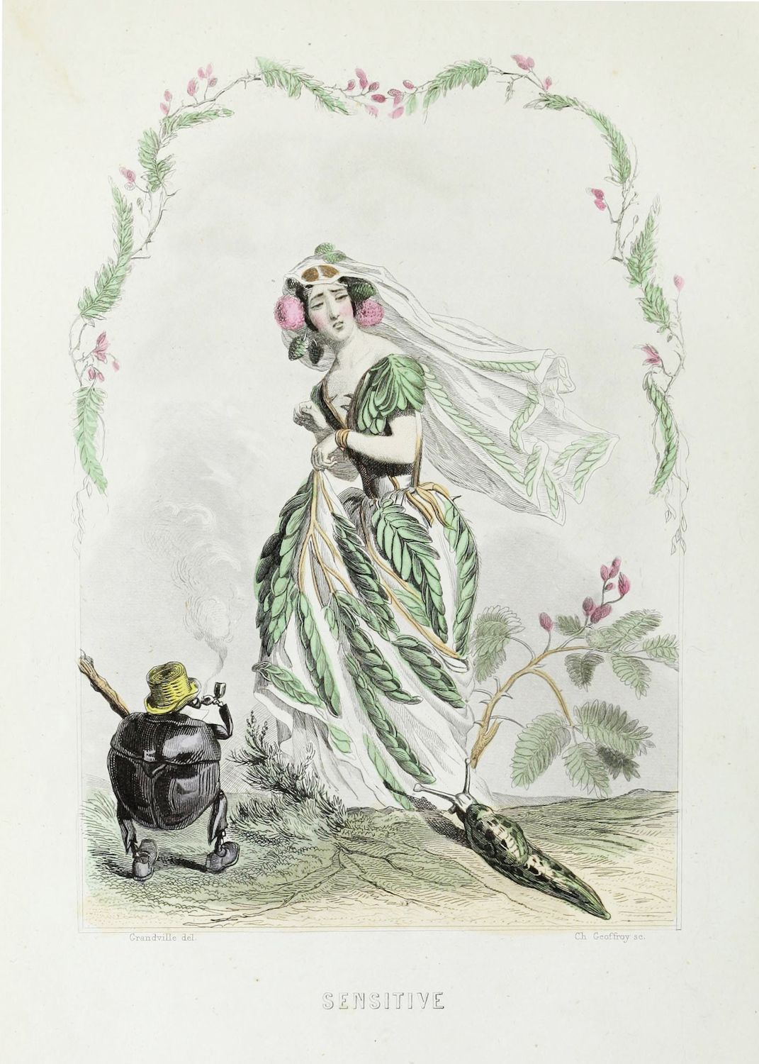 Vintage illustration titled 'Sensitive' depicting a woman dressed as a plant with a carriage and horse in the background.
