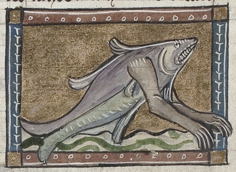 Medieval illustration of a whale-like sea creature in a manuscript.