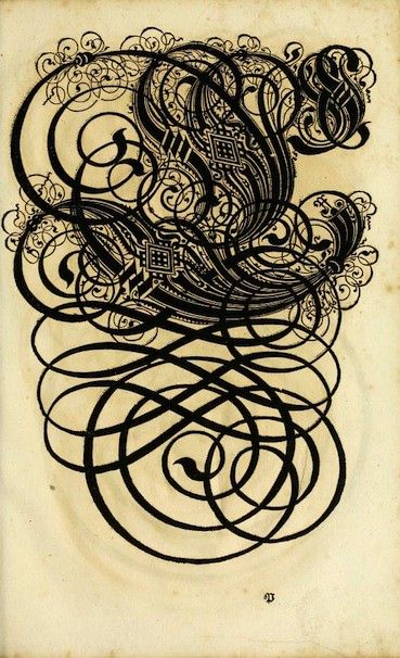 A detailed, ornate illustration of the letter 'S' in a calligraphic style.