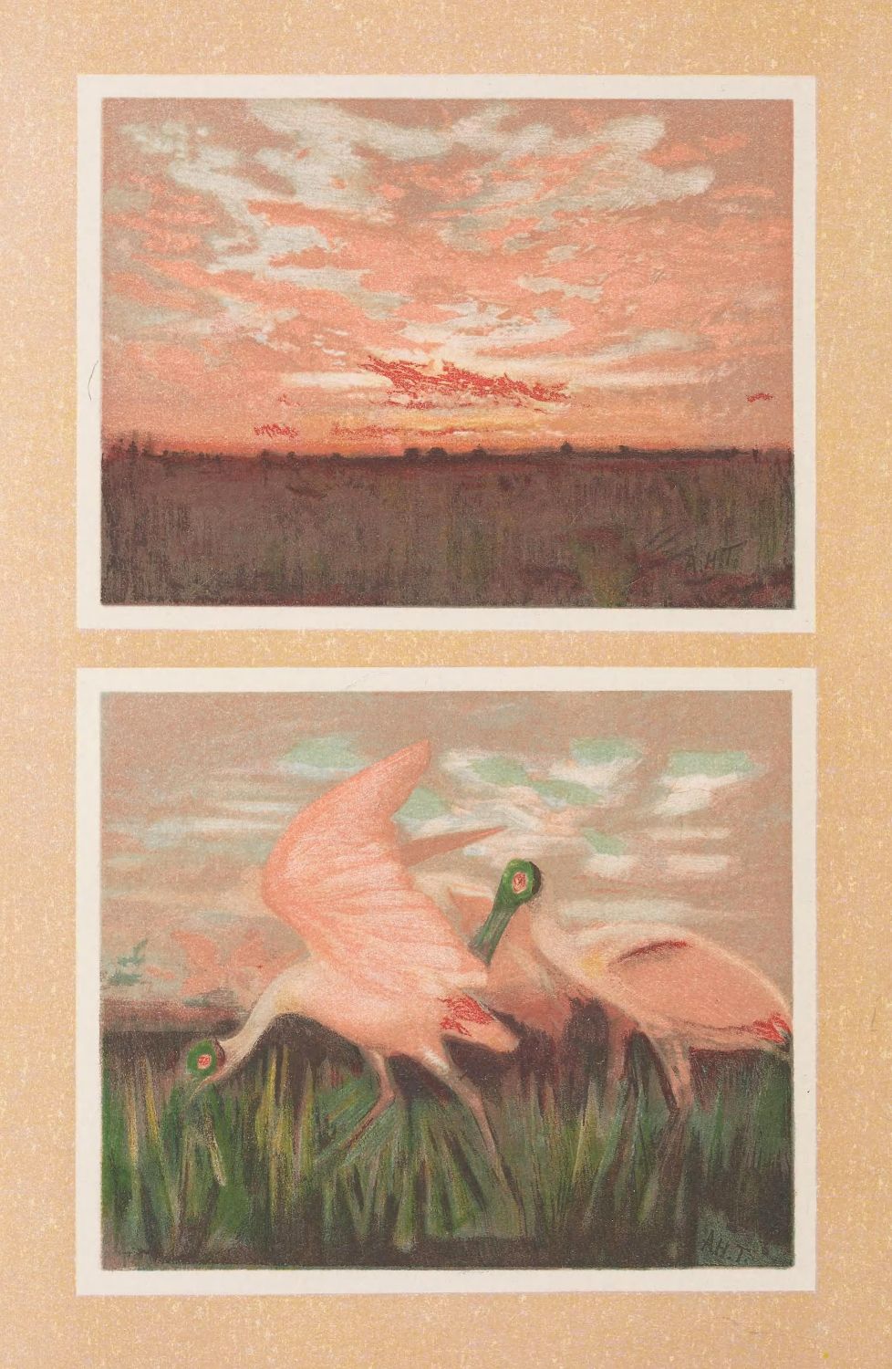Two pastel paintings arranged vertically. The top painting shows a pink sky over a dark landscape. The bottom painting depicts two pink birds with green heads standing in a field of green grass.