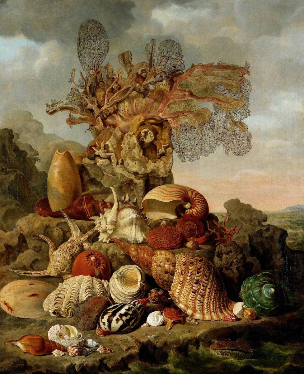 Still life painting of seashells, coral, and a vase against a landscape.