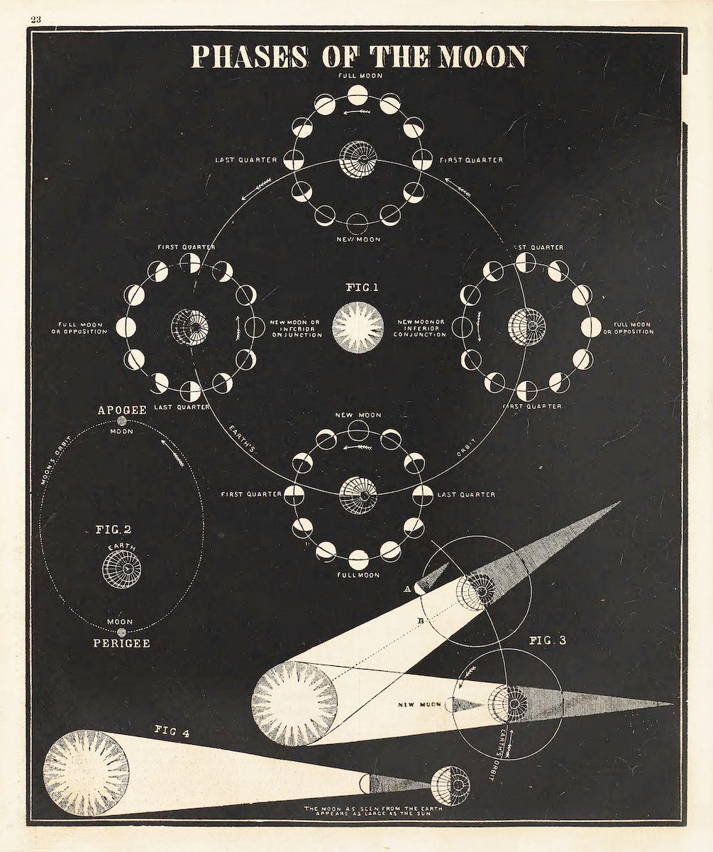 A vintage astronomical chart titled "PHASES OF THE MOON" with diagrams illustrating the lunar cycle and the moon's orbit around the Earth.