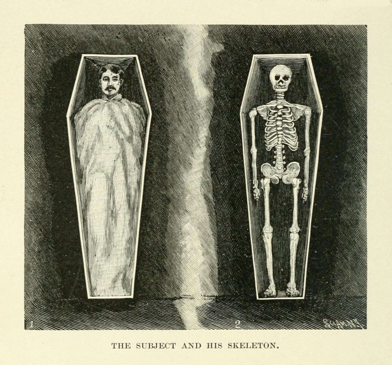 Vintage illustration of a man in a coffin next to his skeleton in another coffin.
