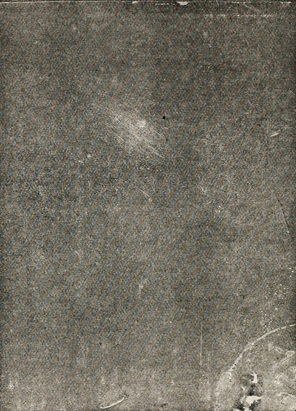 Close-up of a heavily textured, aged surface with scratches and speckles.