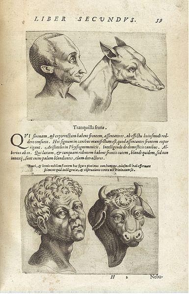 Vintage illustration of four head portraits: a bald man, a deer, a bearded man, and a bull. The page is aged and has text below the illustrations.