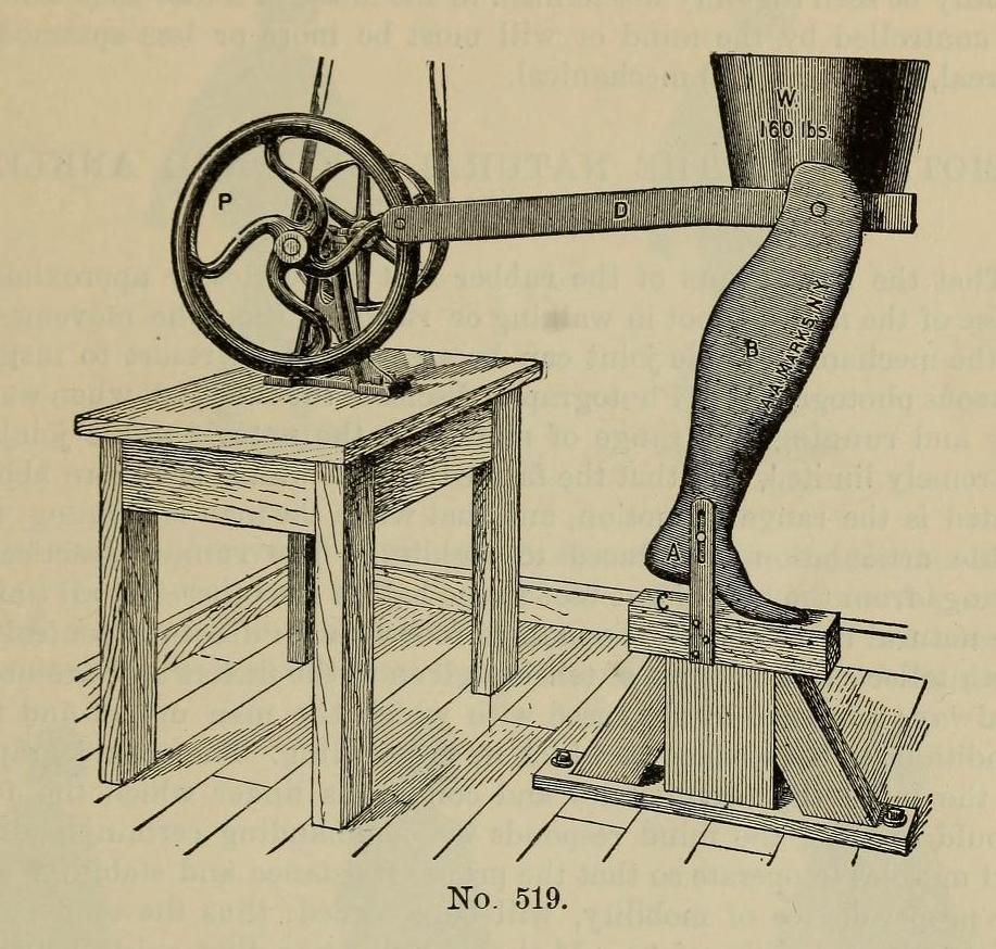 Vintage illustration of a mechanical leg testing machine with a wooden leg, scale, and complex apparatus.