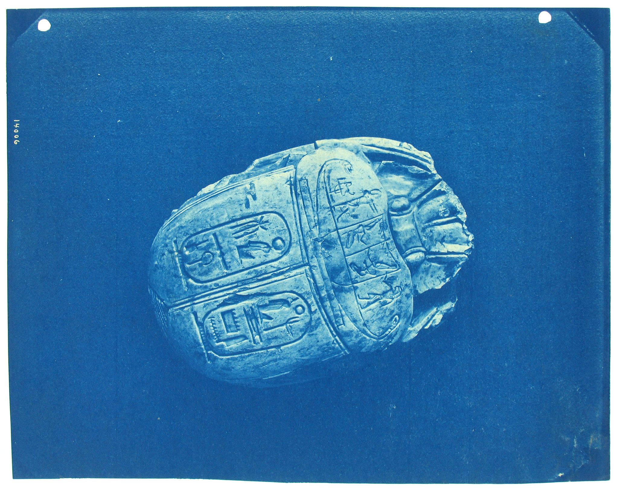Cyanotype photograph of an ancient Egyptian scarab beetle with hieroglyphs carved on its back.