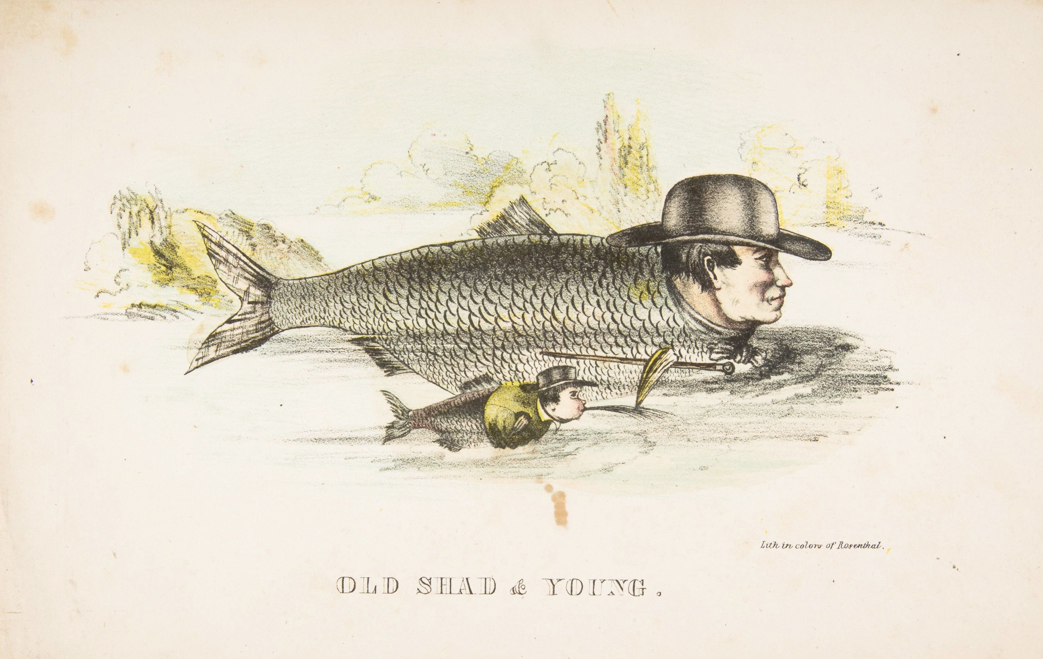 A vintage lithograph titled "Old Shad & Young" depicting two fish with human heads.