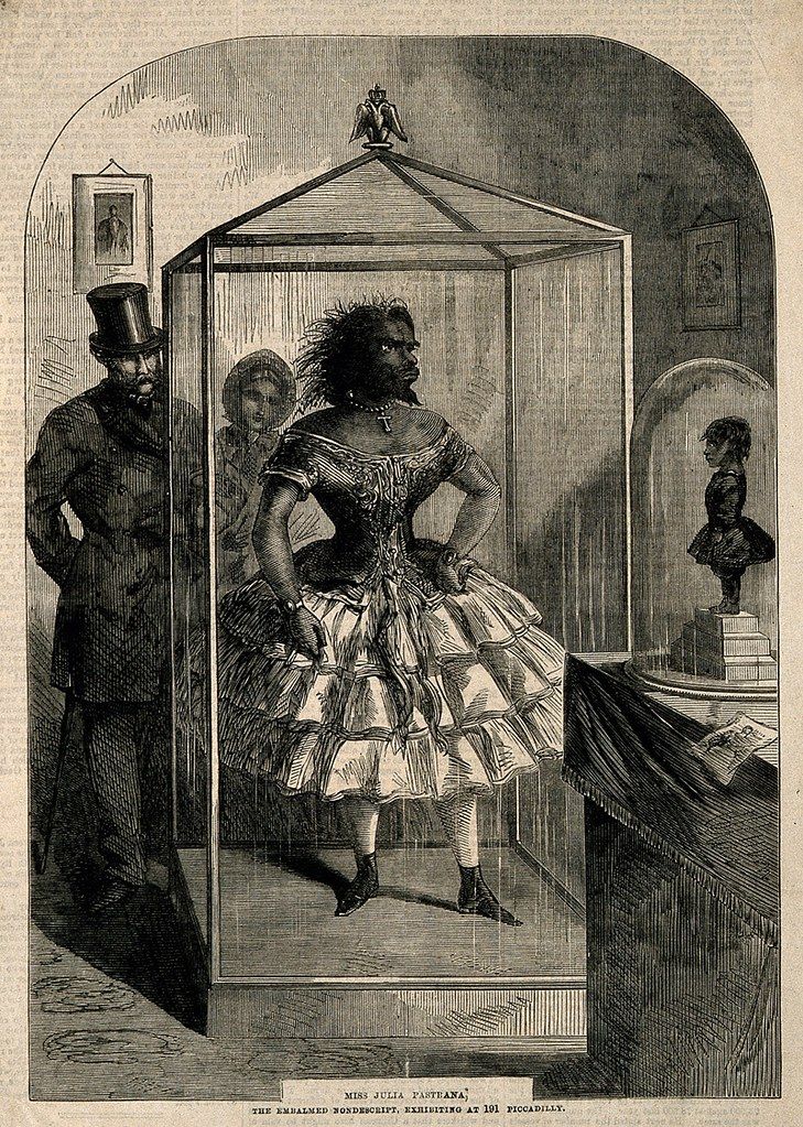 A wood engraving of Miss Julia Pastrana, an embalmed wonder, exhibited in a glass case at 101 Piccadilly. A man in a top hat stands to the left, observing her. A bust is displayed on a pedestal to the right.