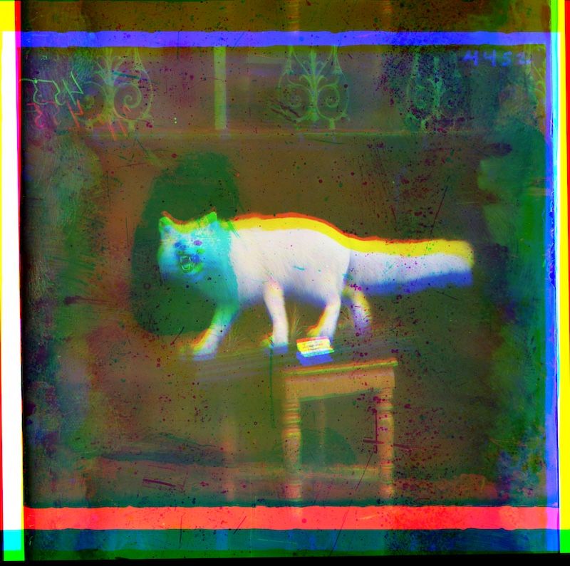 A ghostly white cat stands on a small table in a dark room, with a distorted, vintage aesthetic.